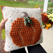 The Pumpkin Pillow Crochet Pattern